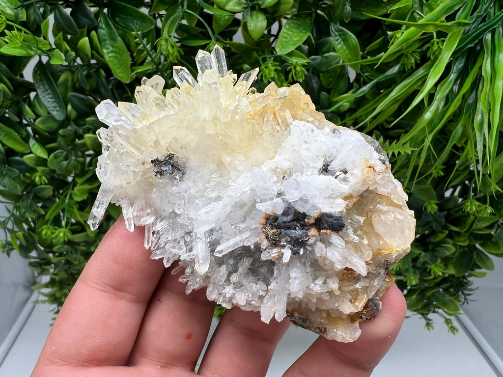 Limonite Quartz Cluster: 9th September Mine, Bulgaria