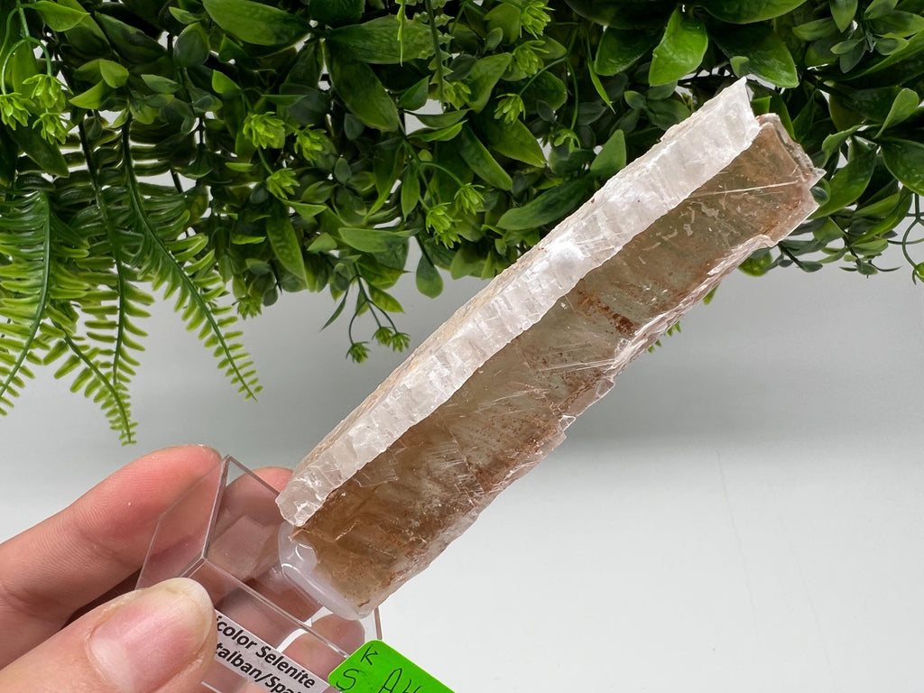 Golden Phantom Selenite Slab: Utah Raw Fishtail Selenite Wand