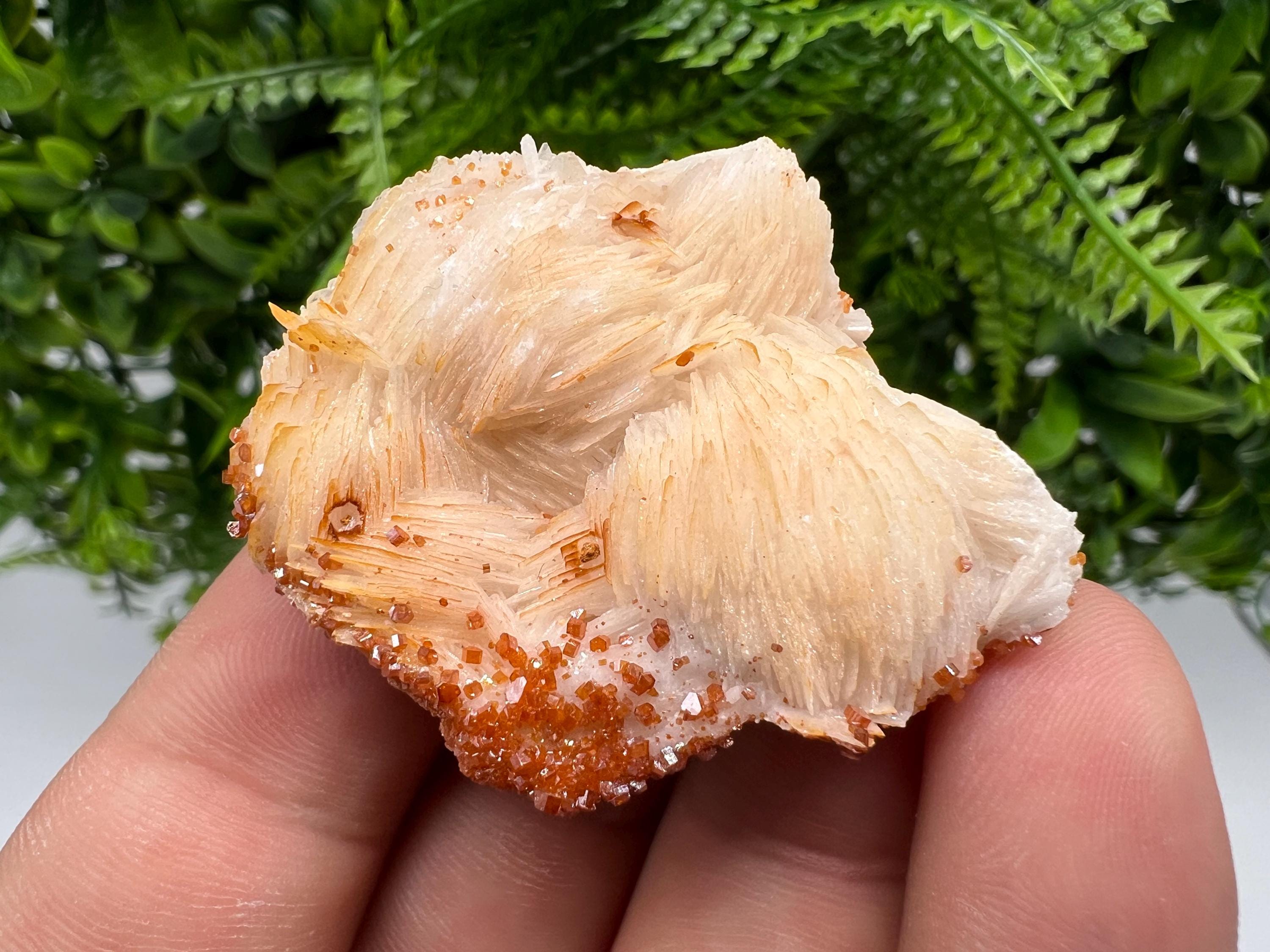 Red Vanadinite on Barite from Marocco,crystal minerals Speciment cluster Vanadinite crystal Vanadinite Geology Vanadinite cluster minerals