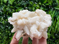 Calcite on Green Quartz: Djurcovo Mine, Bulgaria Healing Crystal