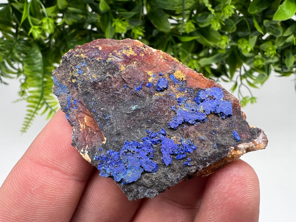 Azurite Malachite Mineral Specimen, Morocco Crystal, Collector Stone
