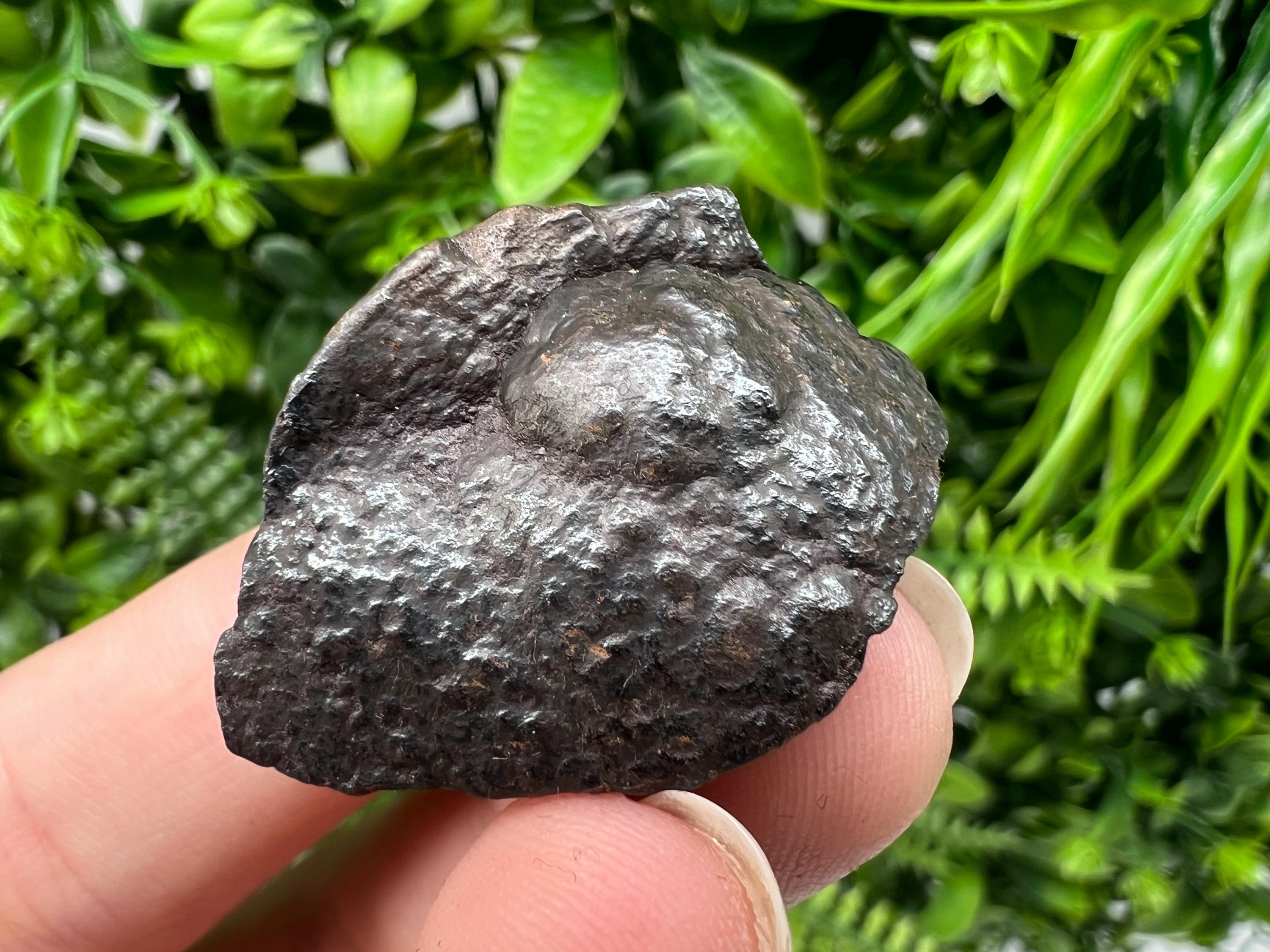 Botryoidal Black Hematite Specimen: Moroccan Crystal, Chakra Reiki