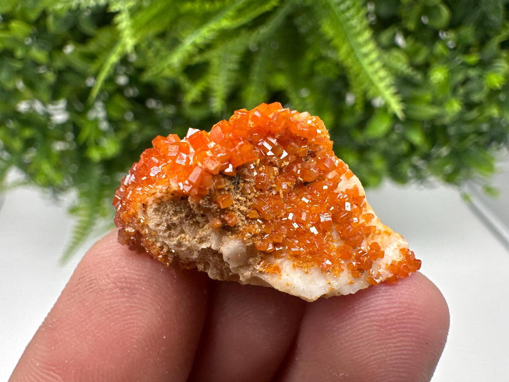 Red Vanadinite on Barite from Marocco,crystal minerals Speciment cluster Vanadinite crystal Vanadinite Geology Vanadinite cluster minerals