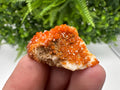 Red Vanadinite on Barite from Marocco,crystal minerals Speciment cluster Vanadinite crystal Vanadinite Geology Vanadinite cluster minerals