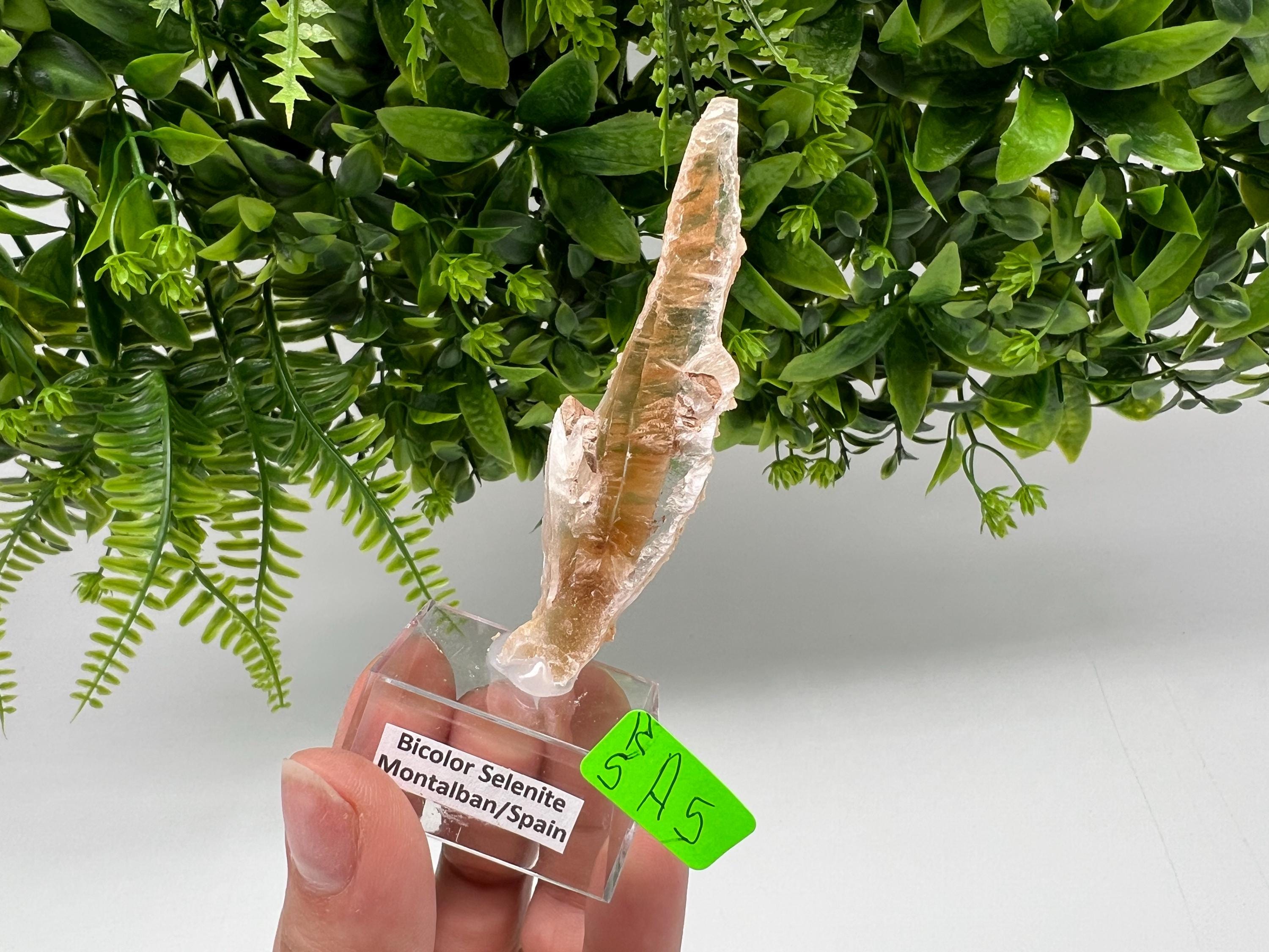 Golden Phantom Selenite Slab: Utah Raw Crystal Wand