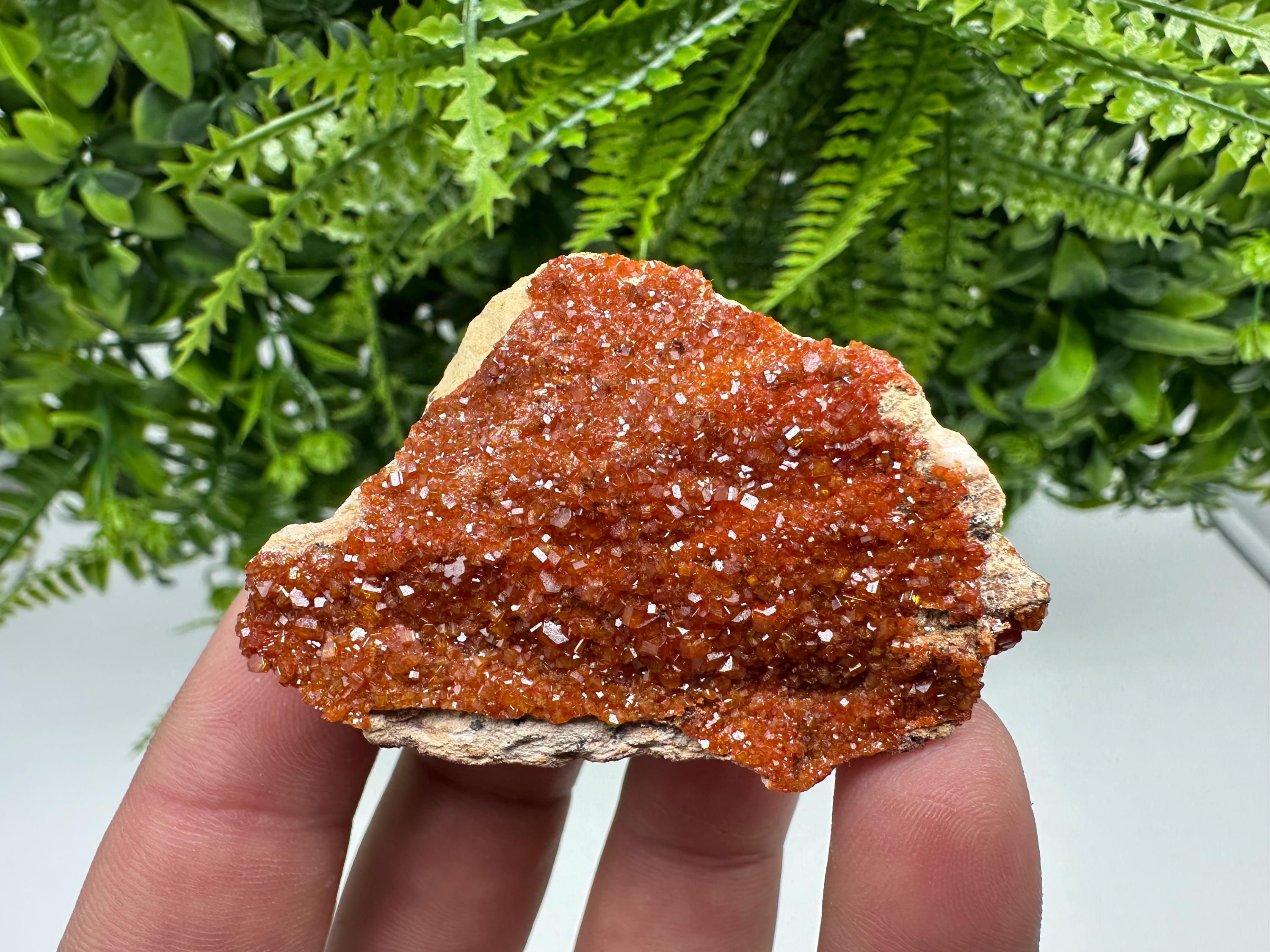 Red Vanadinite Crystal on Barite, Morocco Mineral Specimen