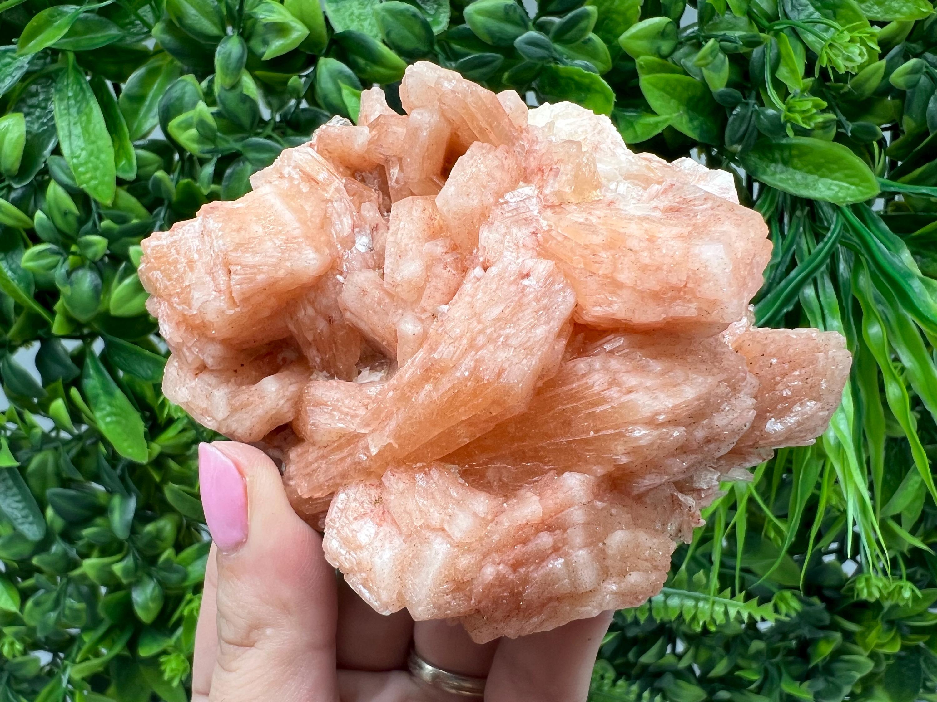 Apophyllite Stilbite Chalcedony Specimen: India Minerals Crystal Collection