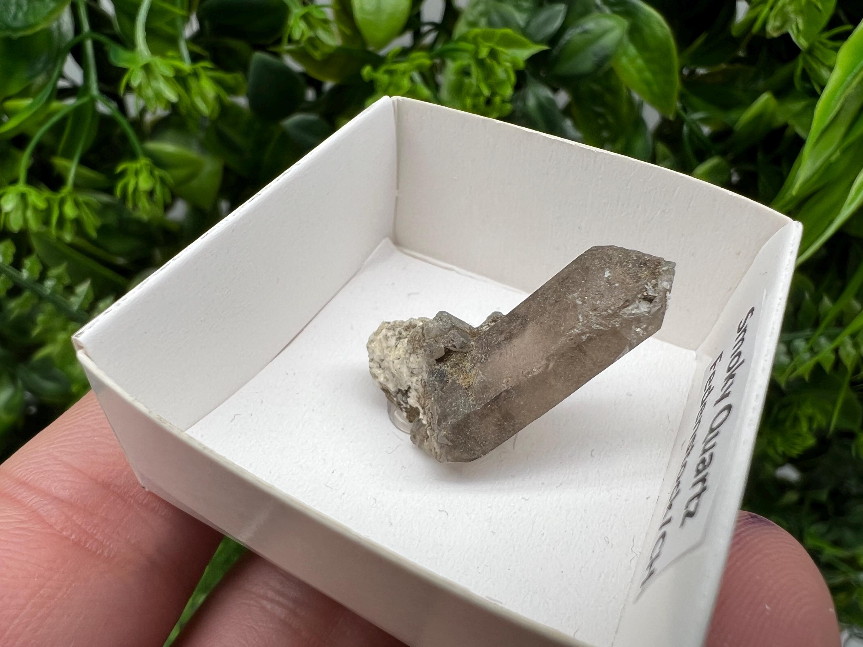Rare Fedenstock Smoky Quartz, Swiss Mineral Specimen