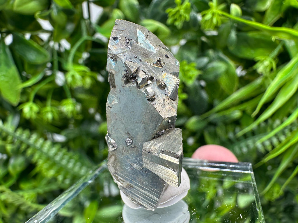 Rare Mini Pyrite Cluster: Borieva Mine, Bulgaria