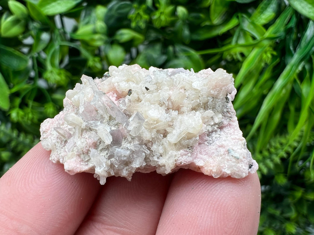 Pink Rhodochrosite Crystal: Starnica Mine, Bulgaria