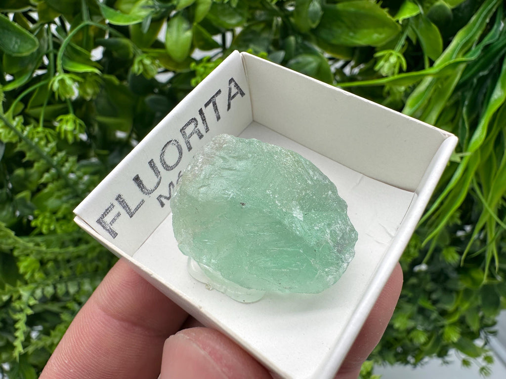 Rare Rainbow Fluorite from Mexico: Raw Meditation Stone