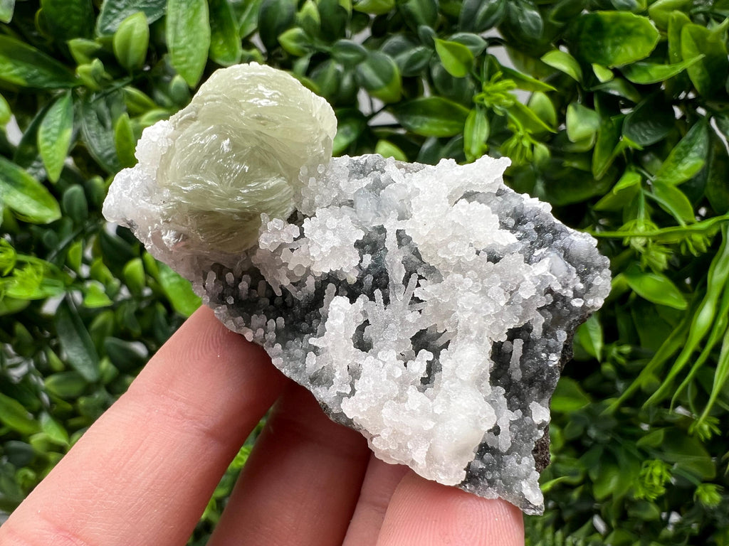 STUNNING Transparent Apophyllite on Chalcedony,natural, collection minerals specimen,India Minerals,Crystal, Stone Mineral Specimens India