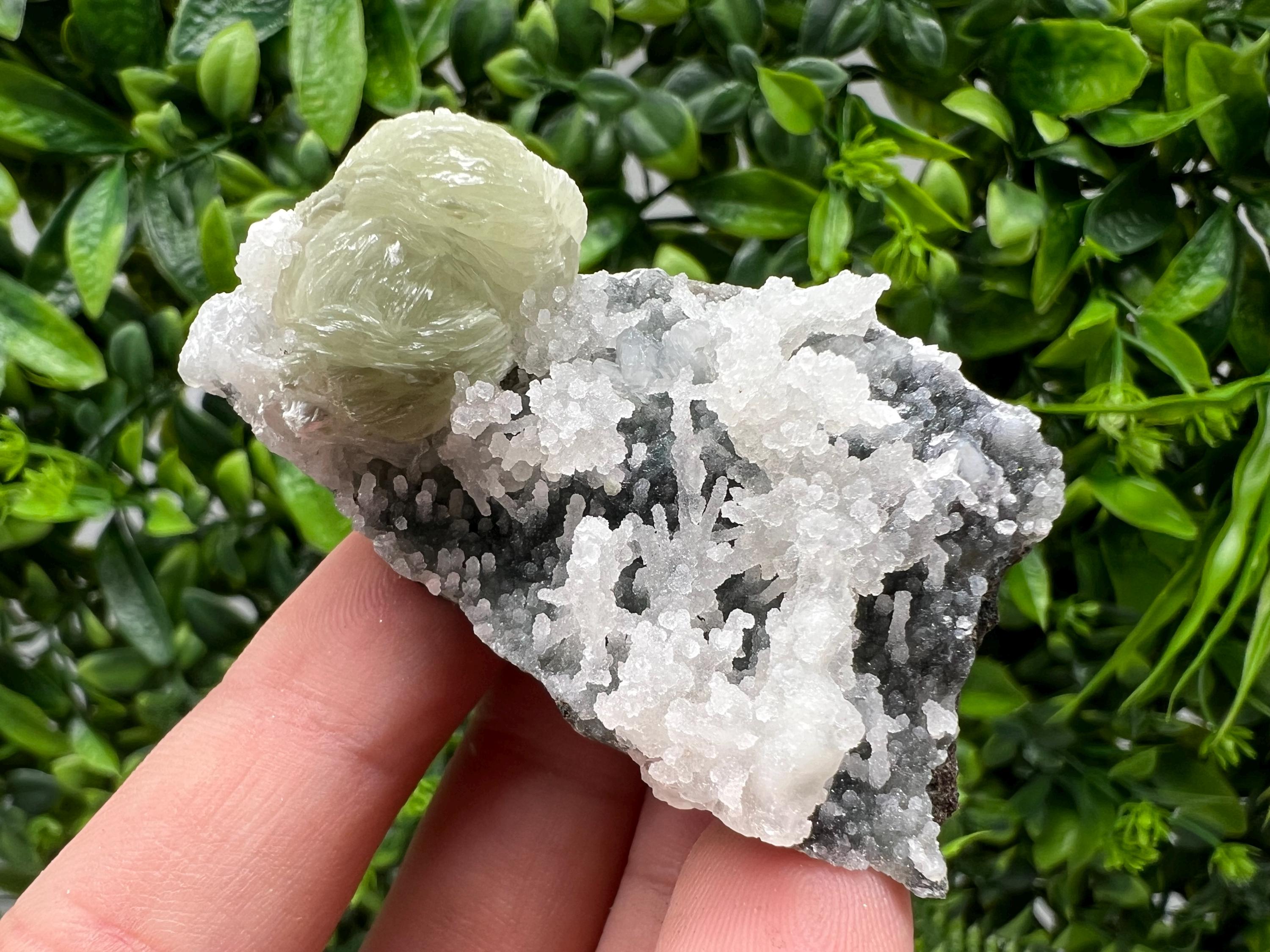 STUNNING Transparent Apophyllite on Chalcedony,natural, collection minerals specimen,India Minerals,Crystal, Stone Mineral Specimens India
