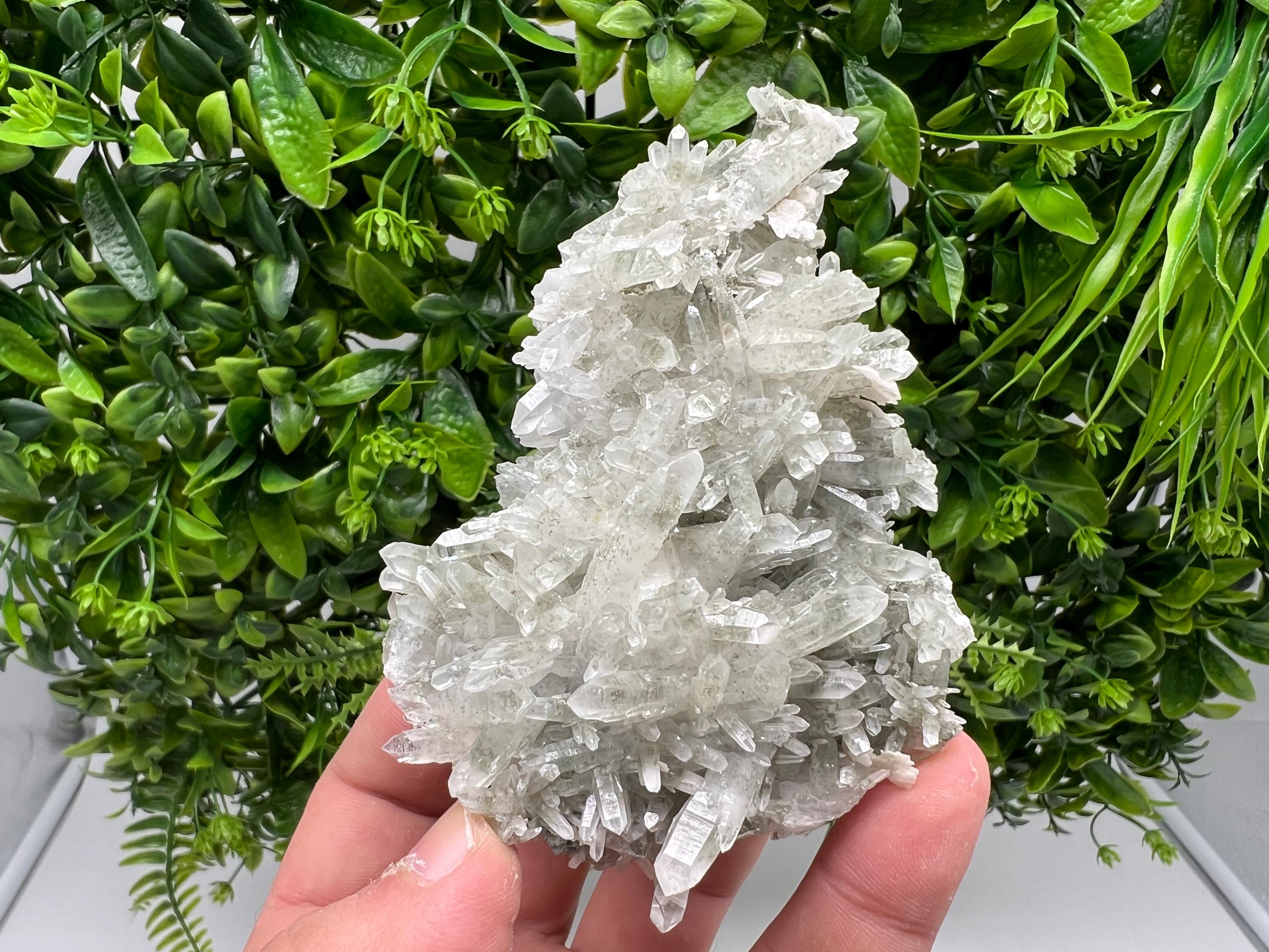 Chlorite Quartz Crystal Cluster - Borieva Mine, Bulgaria
