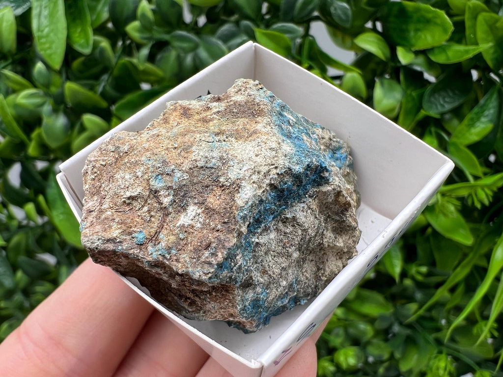 Rare Raw Aerinite Mineral Specimen: Collection Crystal from Lleida, Spain (5/3.5 CM)