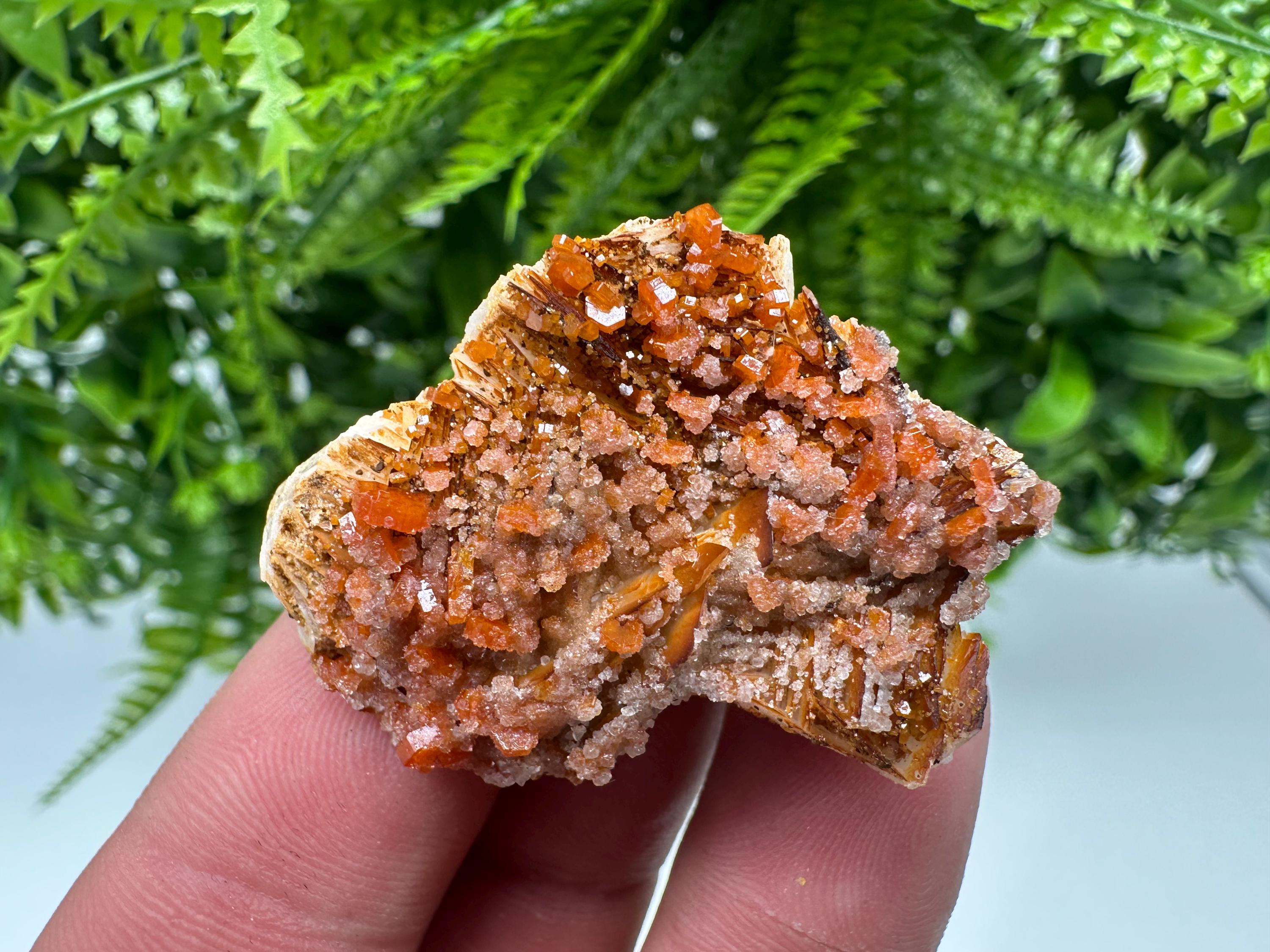 Red Vanadinite on Barite, Morocco Mineral Specimen Cluster