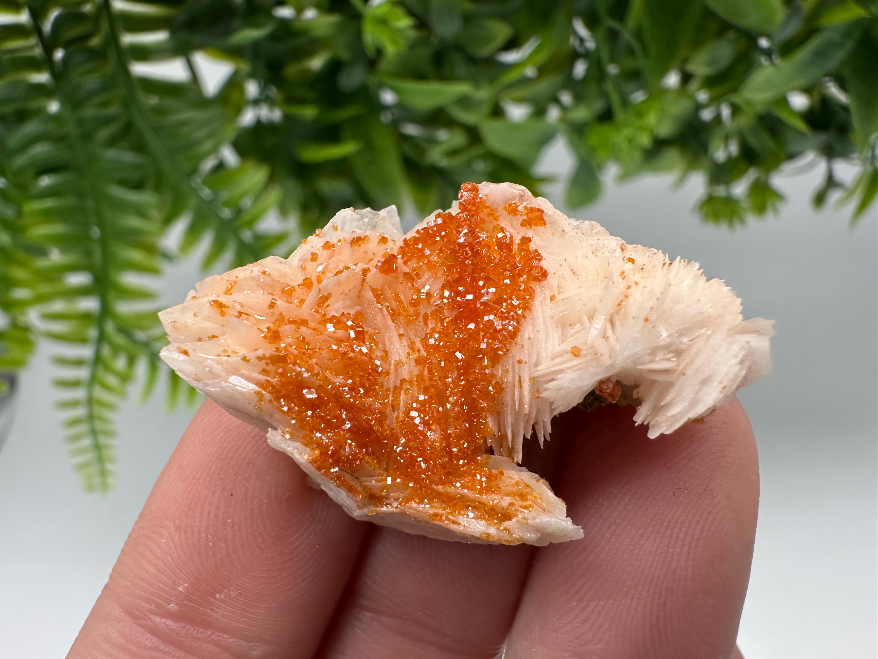 Red Vanadinite on Barite, Moroccan Crystal Specimen