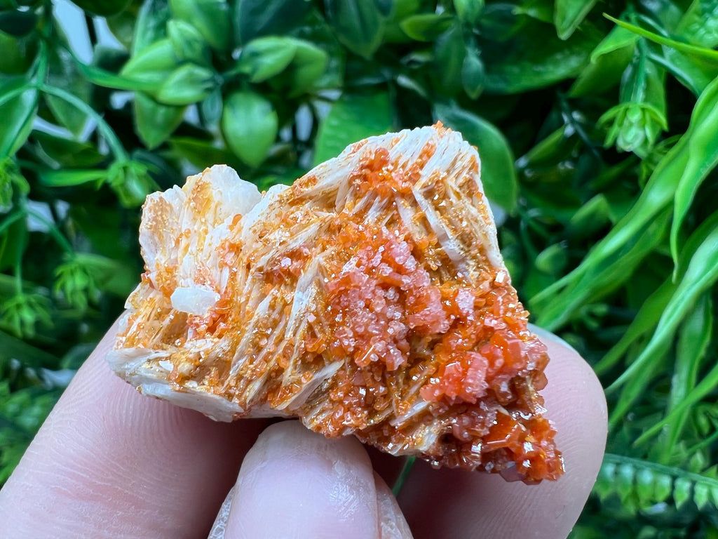 Red Vanadinite on Barite from Marocco,crystal minerals Speciment cluster Vanadinite crystal Vanadinite Geology Vanadinite cluster minerals