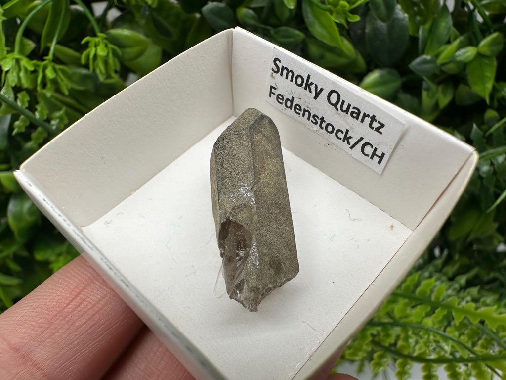 Rare Fedenstock Smoky Quartz Point, Swiss Mineral Specimen (35mm)