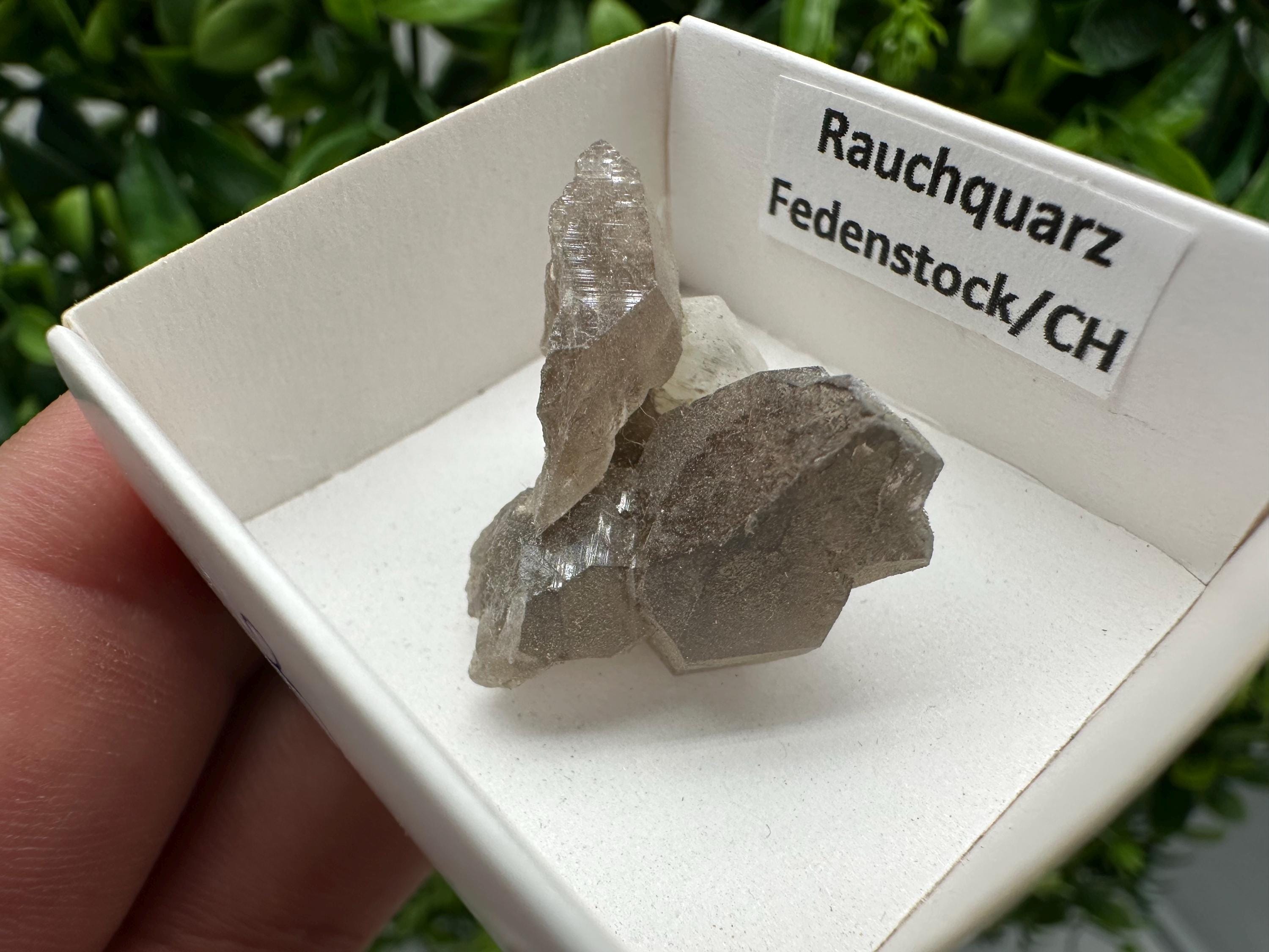 Rare Smoky Quartz from Fedenstock (mountain) Switzerland,Mineral,Specimen,Collection,Black Quartz,Mineral,Home,Smoky Quartz,Quartz point
