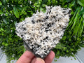 Calcite Quartz on Chlorite Matrix: Borieva Mine, Bulgaria