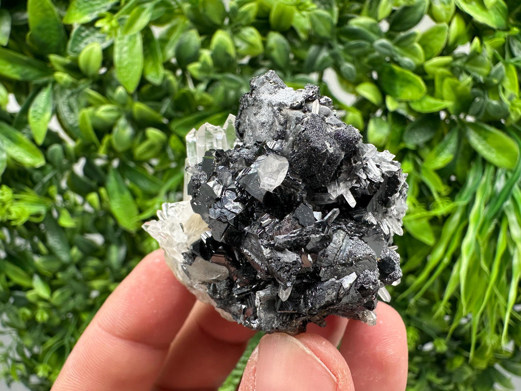Wonderful Sphalerite Chalcopyrite on  Quartz whit Galena feom 9 th September mine,Bulgaria,natural,collection mineral specimen,gift
