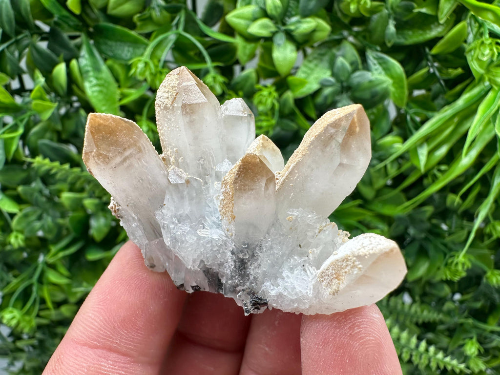 Quartz Sphalerite Chalcopyrite Mineral Specimen, Madan Bulgaria