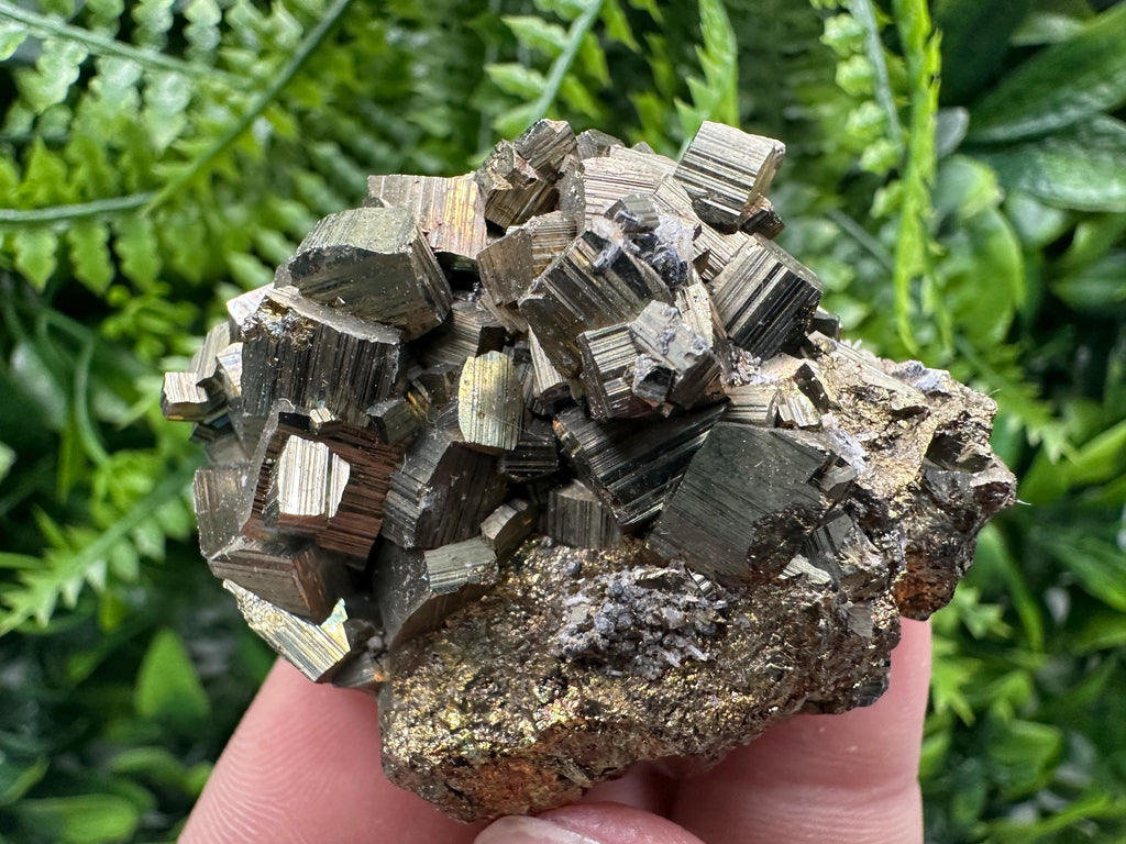 Rainbow Pyrite Cluster from Bulgaria: Home Decor Gift