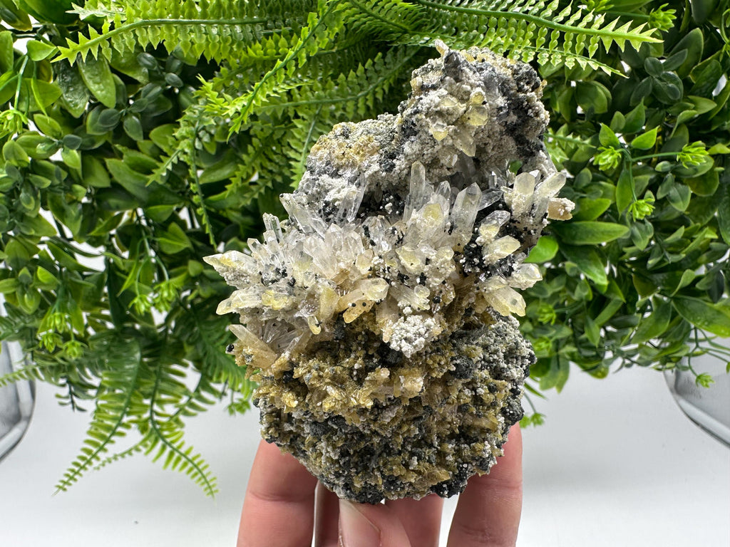 Chlorite Epidote Quartz Specimen: Borieva Mine, Bulgaria
