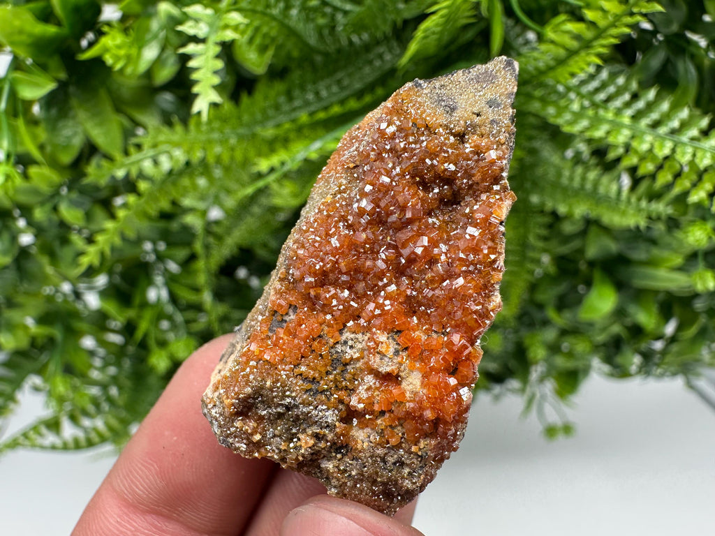 Red Vanadinite Crystal Cluster on Matrix, Morocco Mineral Specimen