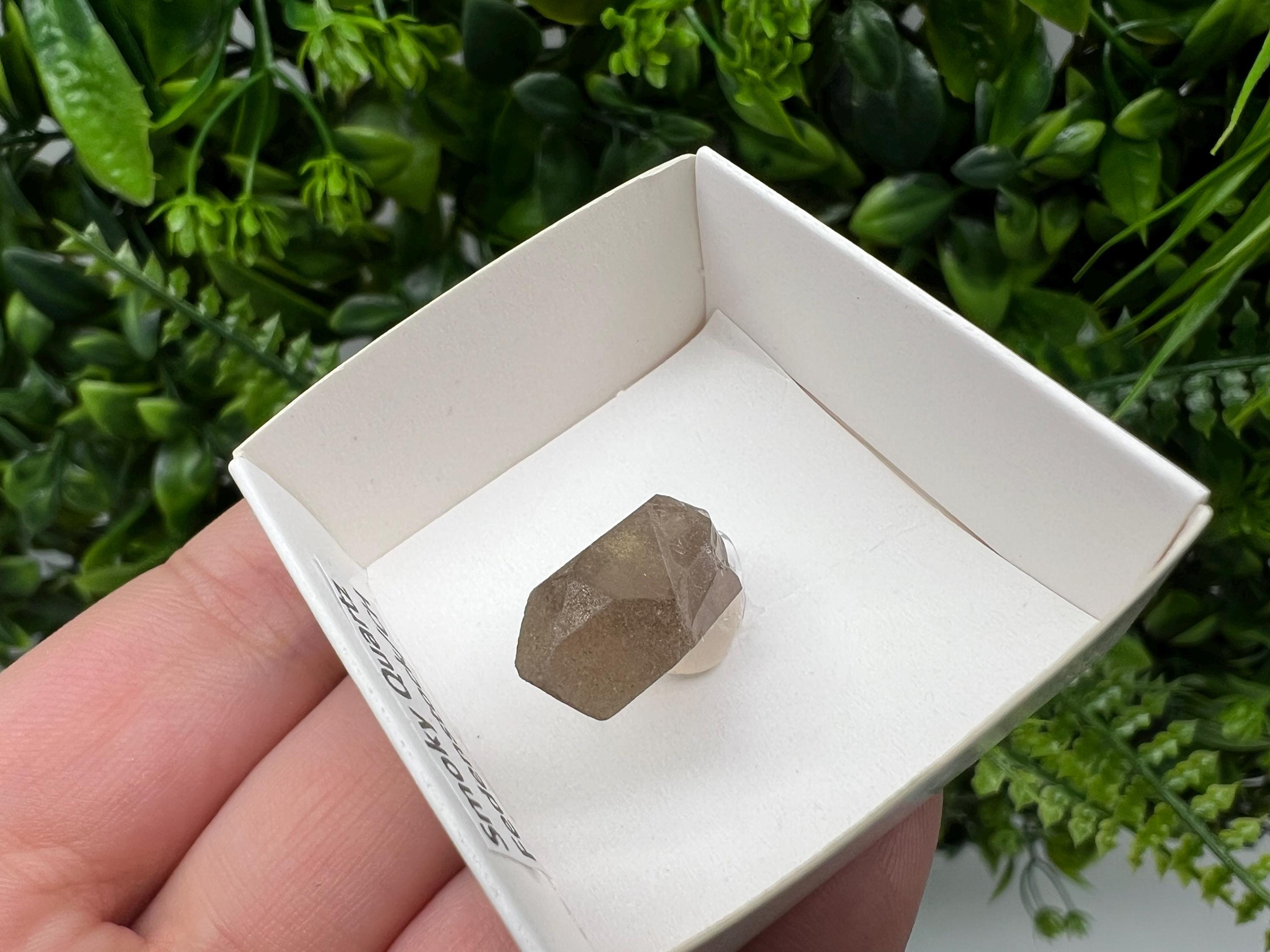 Rare Smoky Quartz Point, Fedenstock Switzerland Mineral Specimen (30MM)
