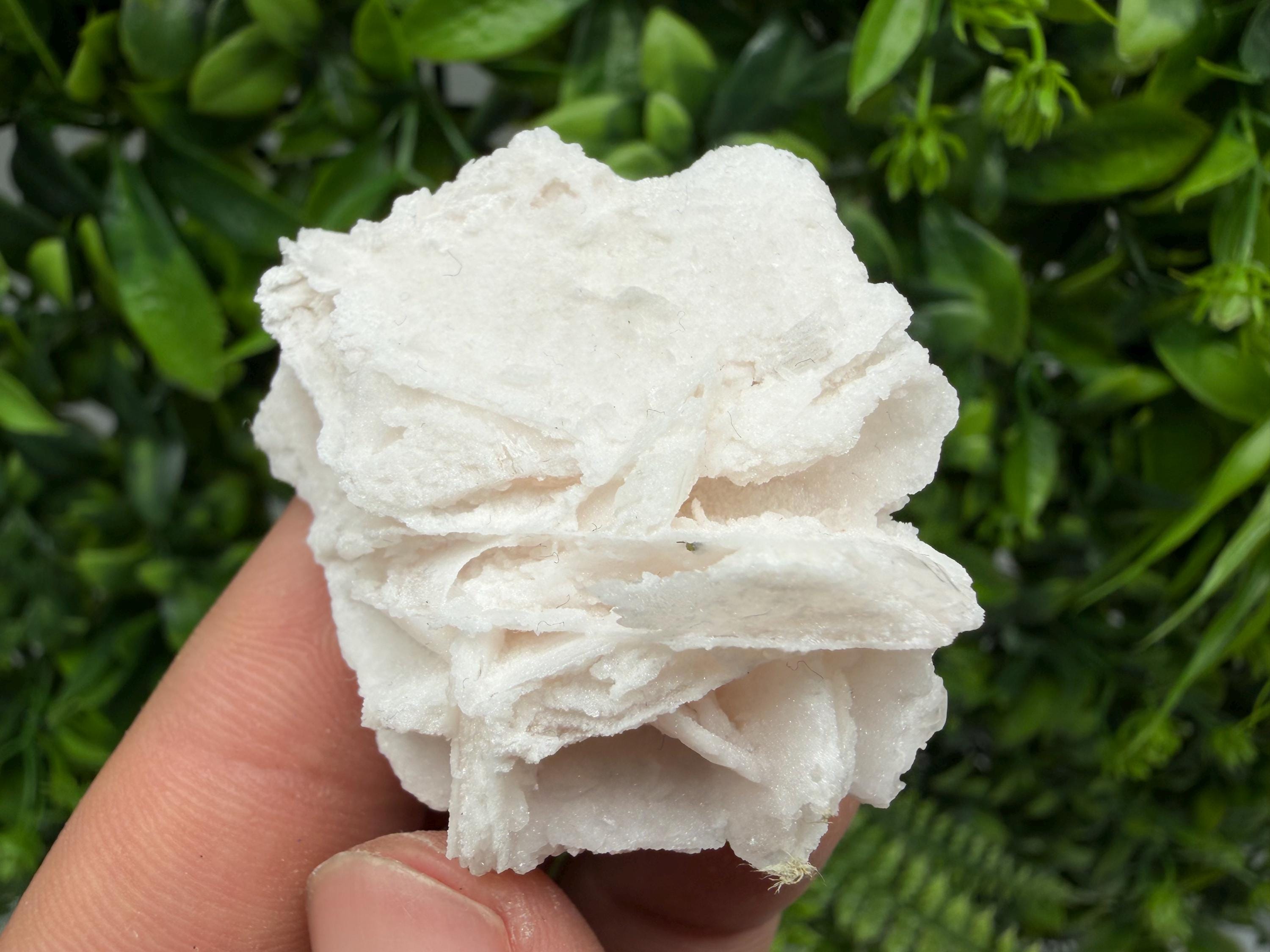 Mangano Calcite with Galena, Borieva Mine, Bulgaria