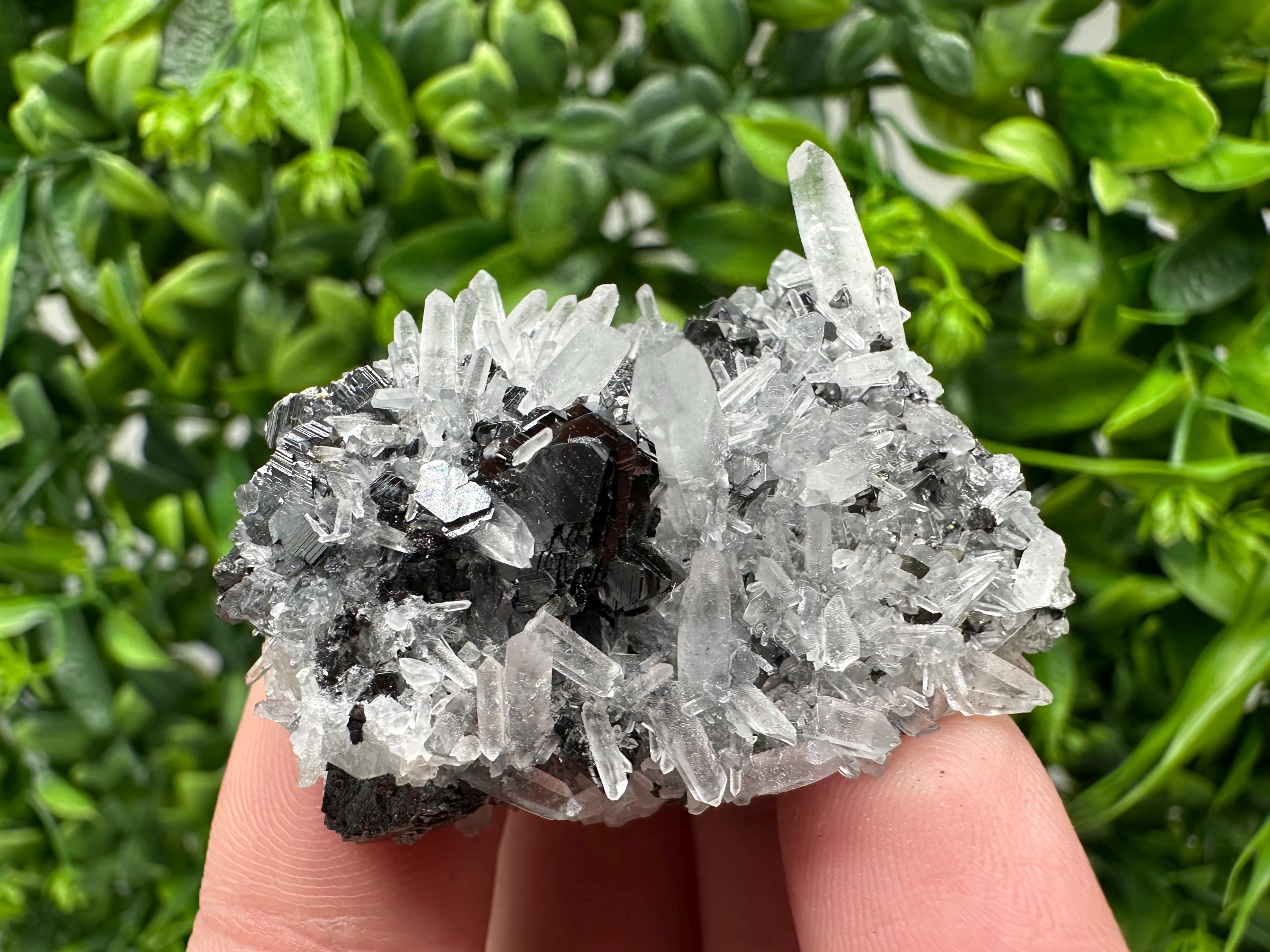 Wonderful Sphalerite Chalcopyrite on  Quartz whit Galena feom 9 th September mine,Bulgaria,natural,collection mineral specimen,gift