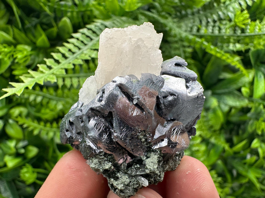Shiny Galena with Calcite on Quartz, Chlorite Specimen