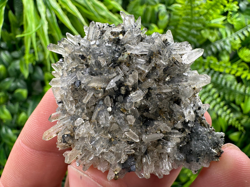 Pyrite Galena on Green Quartz, Chlorite Mineral Specimen, Bulgaria