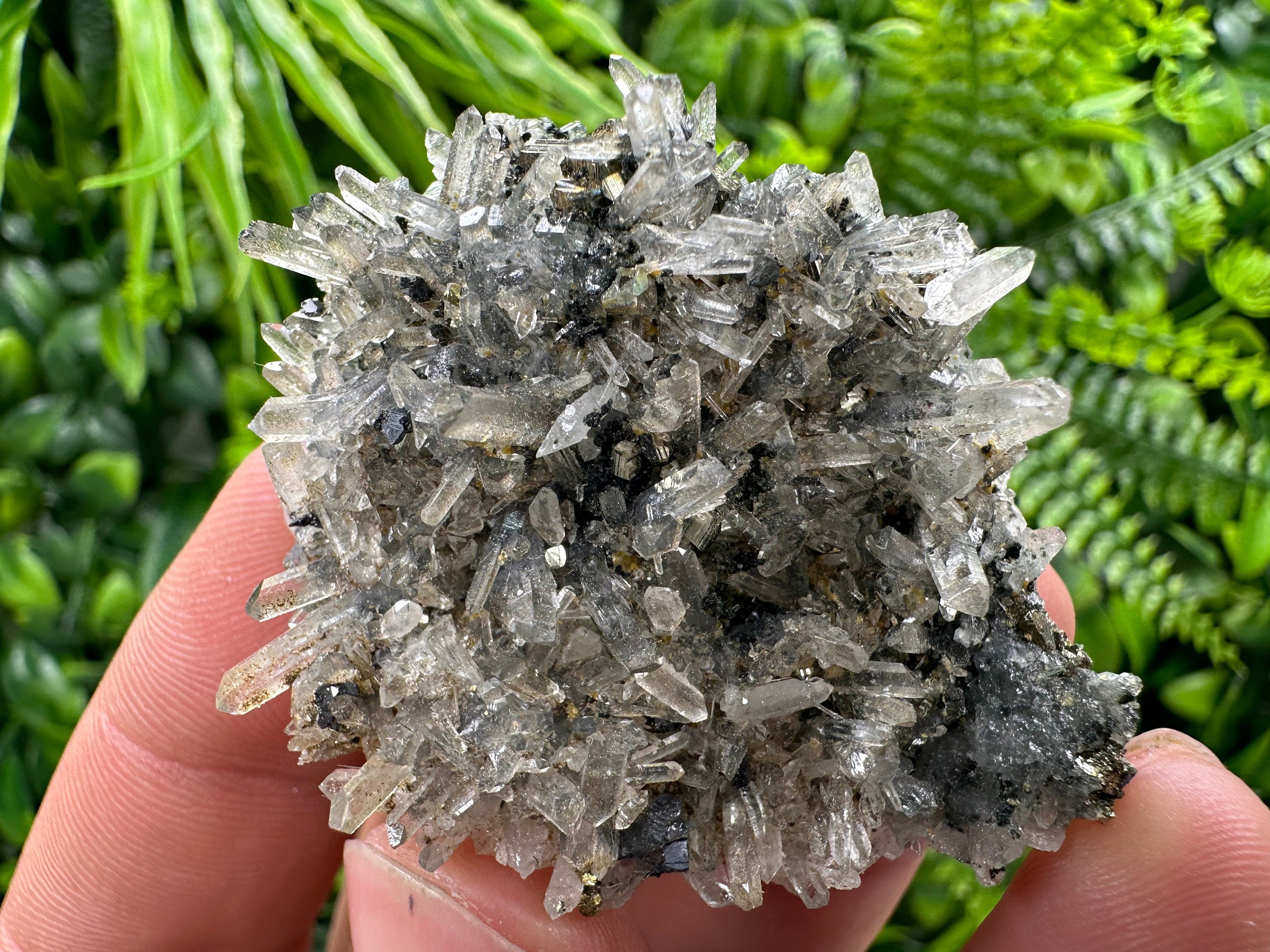 Pyrite Galena on Green Quartz, Chlorite Mineral Specimen, Bulgaria