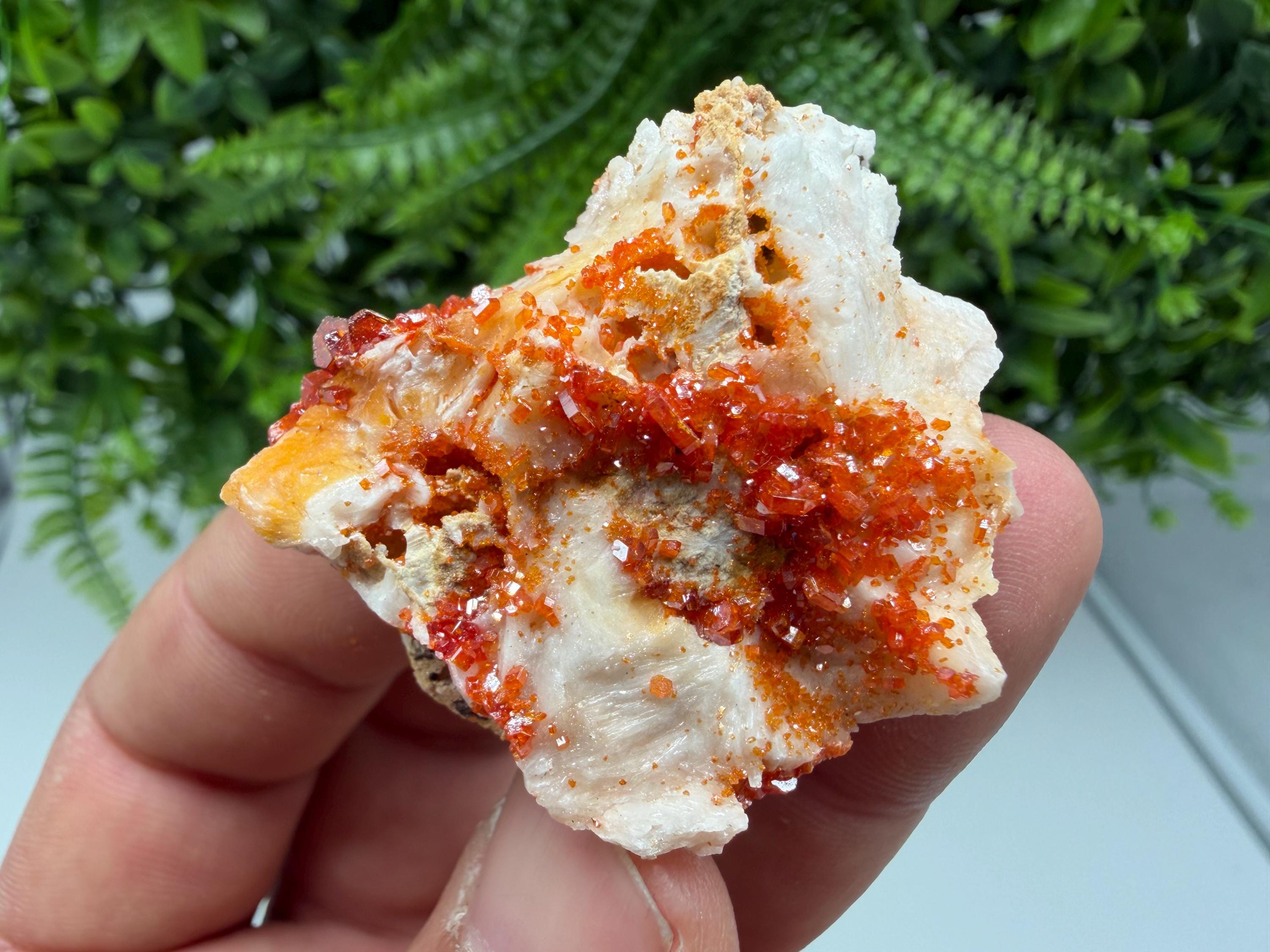 Red Vanadinite Crystal Cluster on Barite, Morocco Mineral Specimen