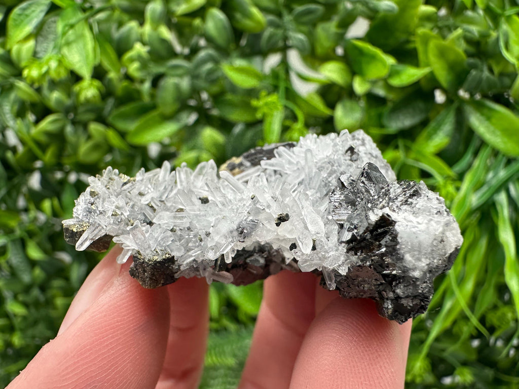 Wonderful Sphalerite Chalcopyrite on  Quartz whit Galena feom 9 th September mine,Bulgaria,natural,collection mineral specimen,gift
