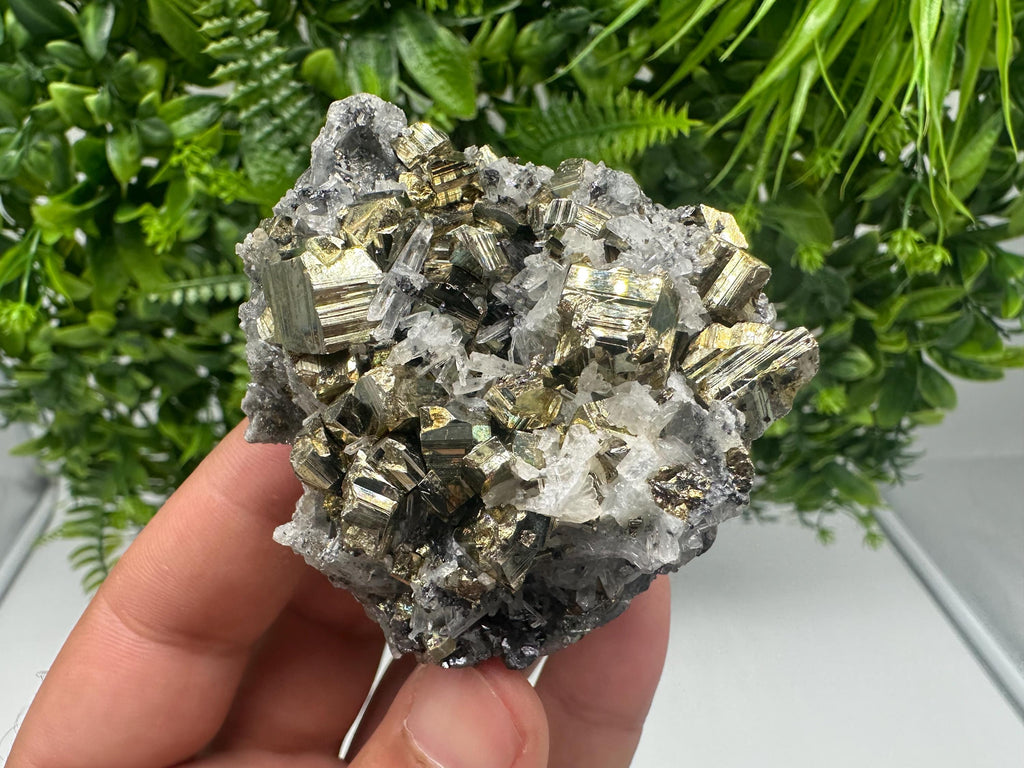 Transparent Quartz whit Rainbow Pyrite Djurcovo Laki Bulgaria natural minerals souvenir crystal stone gift minerals collection rock