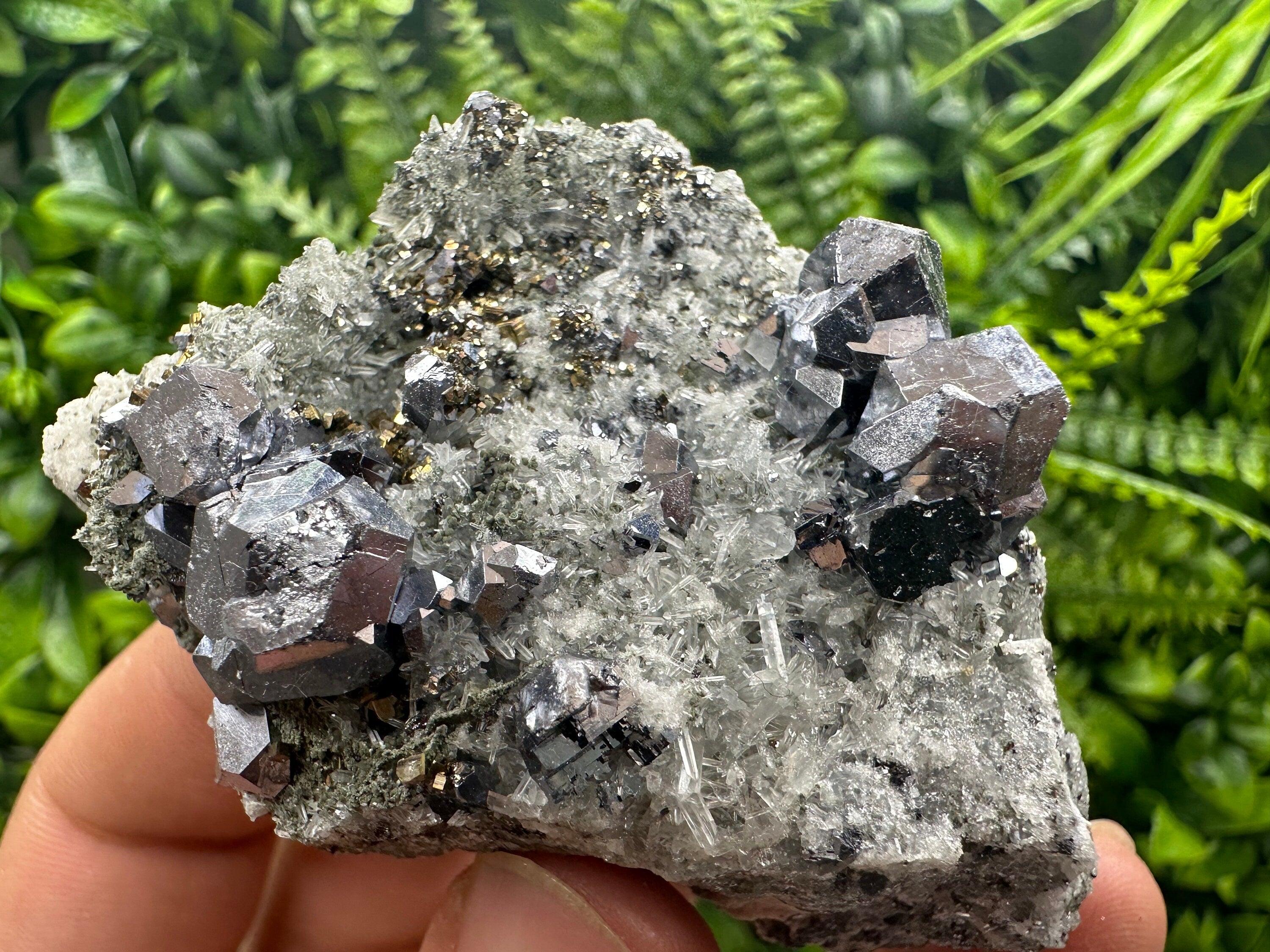 Galena Spinel Law Crystal on Quartz, Chlorite Mineral Specimen