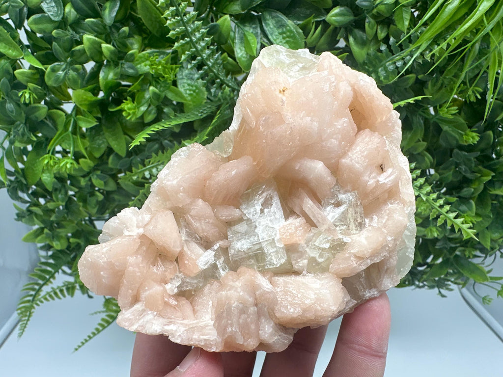 Apophyllite Stilbite on Chalcedony, India Crystal Specimen
