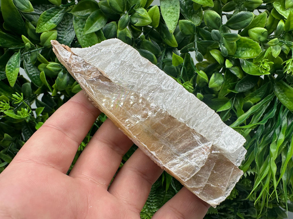 Golden Phantom Selenite Slab: Raw Utah Fishtail Selenite Wand
