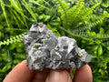 Galena with Chalcopyrite and Quartz, Krushev dol Mineral Specimen