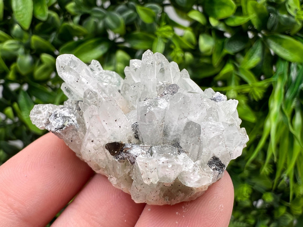 Wonderful Transparent Quartz on Chlorite Matrix,From Borieva mine,Madan,Bulgaria,Quartz,Quartz crystal,mineral specimen,collection quartz