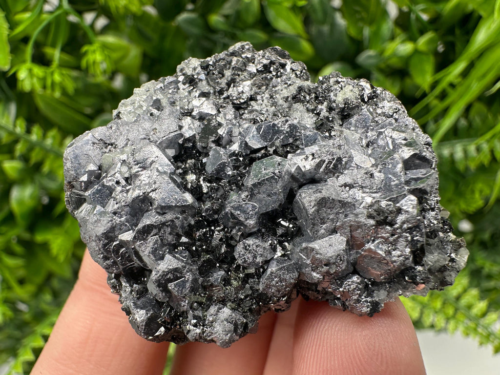 Shiny Galena Cluster, Borieva Mine, Bulgaria: Natural Mineral Decor