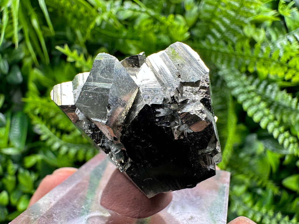 Golden Pyrite Cluster: Rare Floating Crystallization, Bulgaria