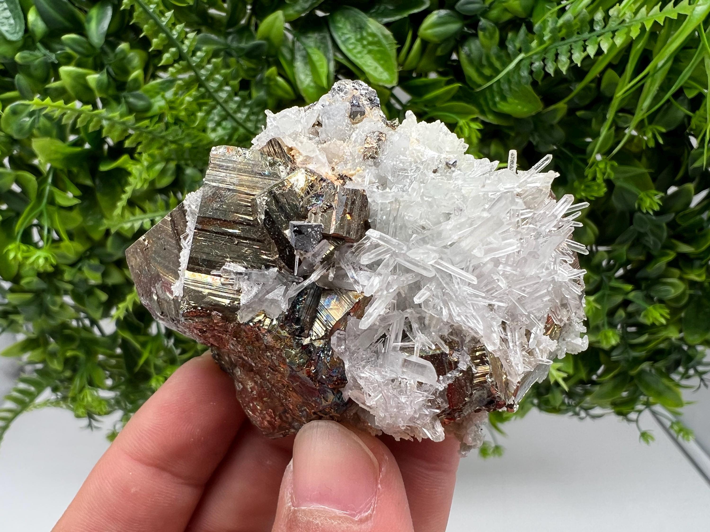 Rare Pyrite on Quartz Crystal: Borieva Mine, Bulgaria