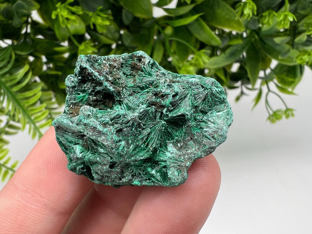 Malachite Crystal from Congo,Minerals,Crystals from Congo,Green Malachite, Malachite,Natural Malachite,Malachite Stone,Chakra, Specimens