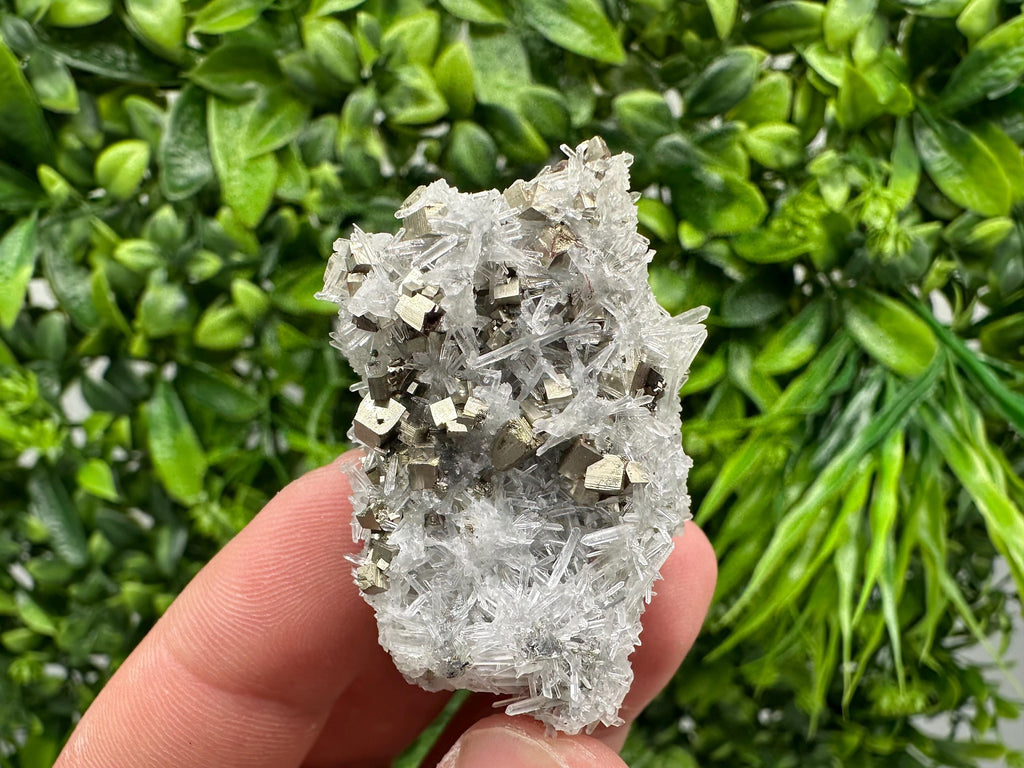 Pyrite on Green Quartz Mineral Specimen, Borieva Mine Bulgaria