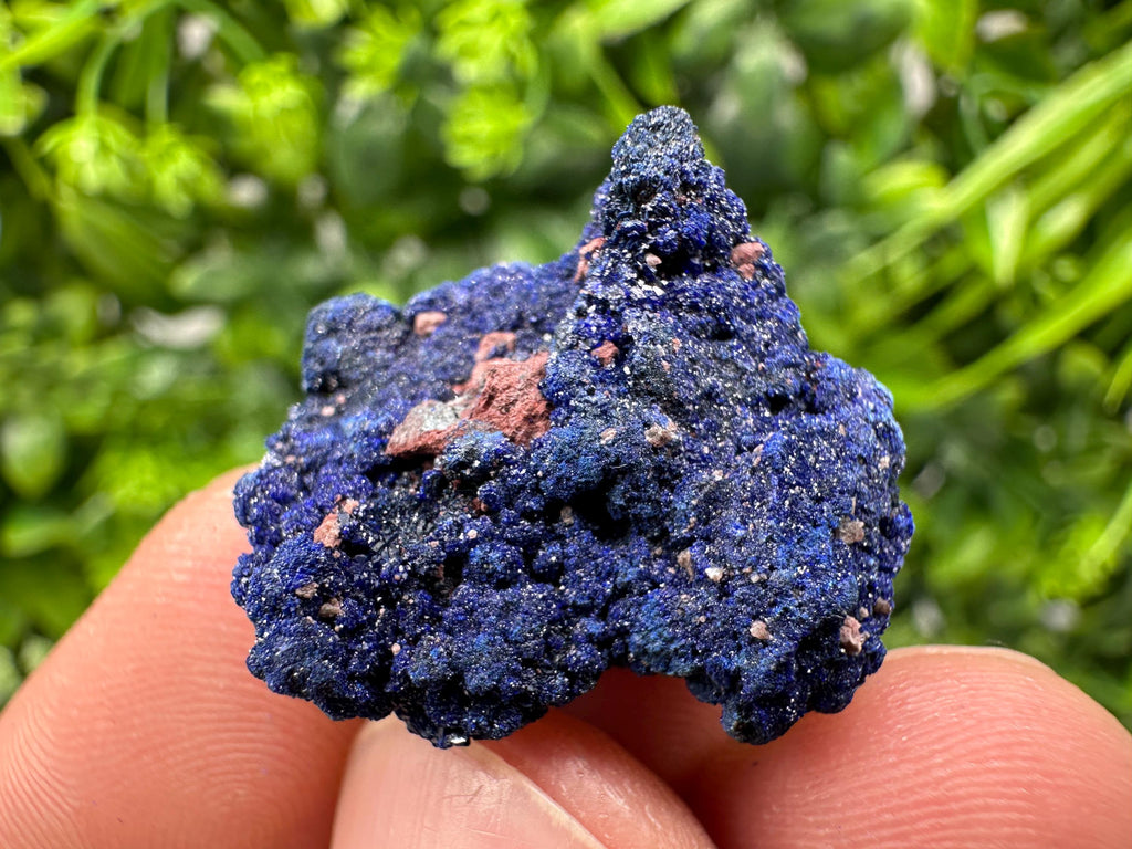Crystallized Azurite-Kerrouchen,Morocco-Blue Azurite Specimen-High Quality Blue Azurite-Azurite Mineral Specimen, gemmy,lustrous of Azurite
